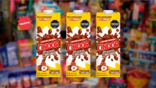 cindor chocolate avellanas