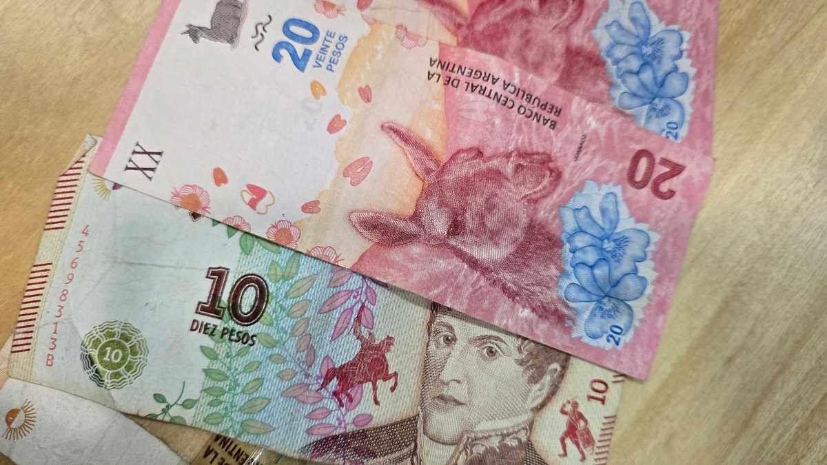 ¿Es ilegal no aceptar billetes de 10 y 20 pesos en Argentina?