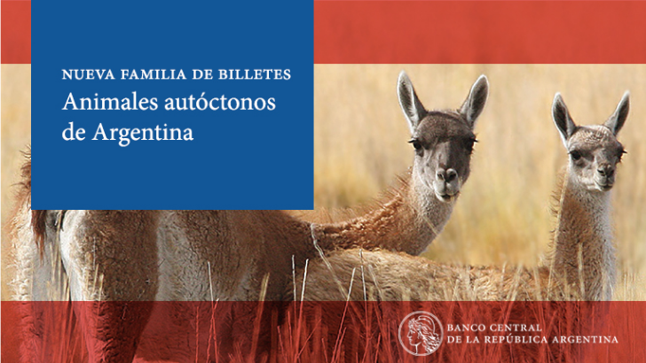 Comienza a circular el nuevo billete de $20 con la imagen del guanaco