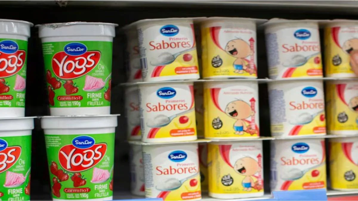 Quiebra de ARSA: la empresa que fabricaba los yogures y postres SanCor cerró sus plantas