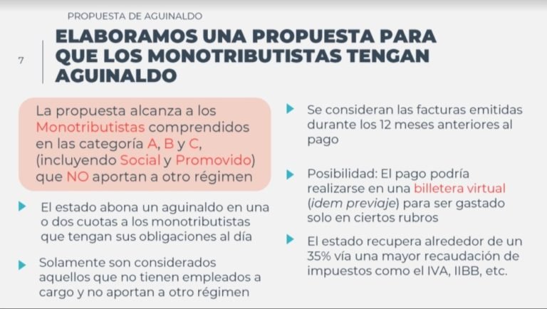 Aguinaldo Para Monotributistas, La Propuesta De Santa Fe Para Toda La ...